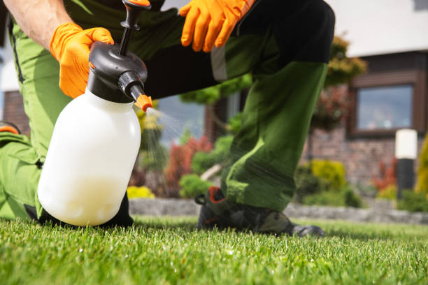 Best Best Pest Control Companies  in Cane Savannah, SC