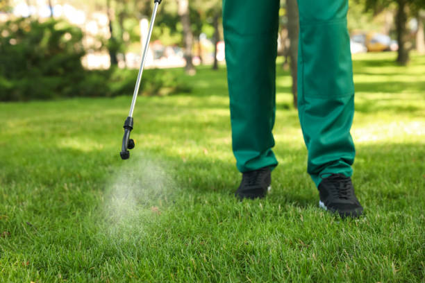 Best Residential Pest Control  in Cane Savannah, SC