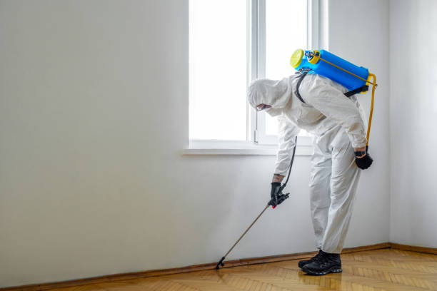 Professional Pest Control in Cane Savannah, SC