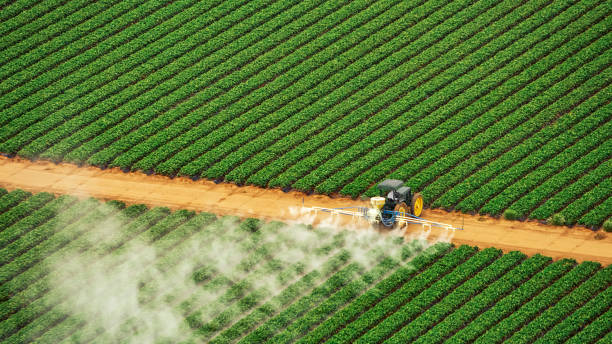 Best Commercial Pest Control Services  in Cane Savannah, SC