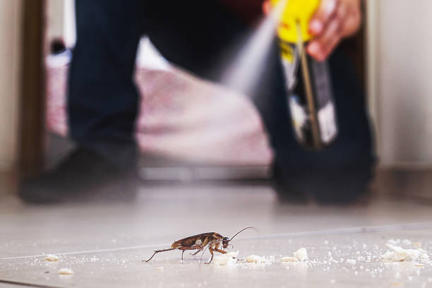 Flea Control Services in Cane Savannah, SC