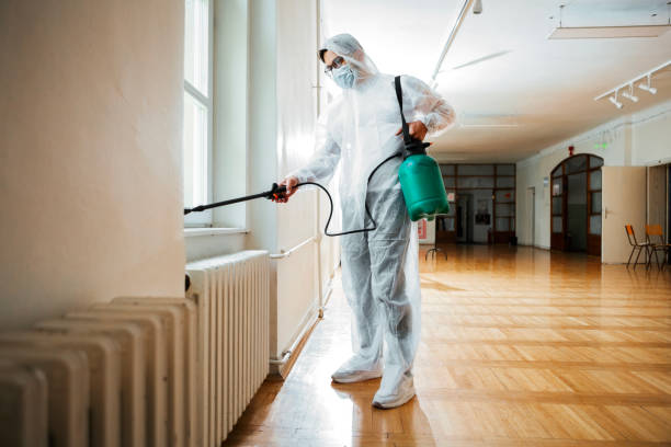 Best Wasp Removal Services  in Cane Savannah, SC