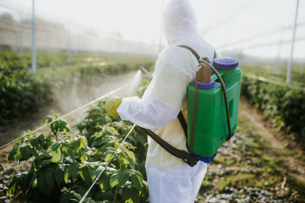Best Affordable Pest Control Services  in Cane Savannah, SC